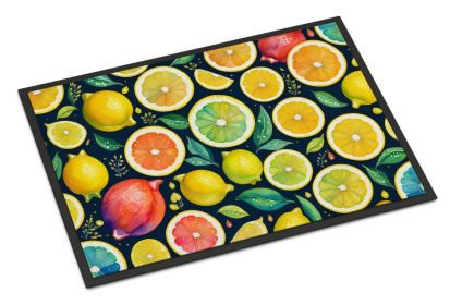 Colorful Lemons Doormat Front Door Mat Indoor Outdoor Rugs for Entryway, Non Slip Washable Low Pile, 24H X 36W