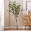 70.9 Inch Artificial Milan Leaf Bonsai,Large Plants for Home Decor and Housewarming Gift