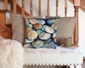 Sand Dollars Throw Pillow Machine Washable, Indoor Outdoor Decorative Pillow for Couch, Bed or Patio, 14Hx14W