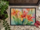Lilies in Watercolor Doormat Front Door Mat Indoor Outdoor Rugs for Entryway, Non Slip Washable Low Pile, 24H X 36W